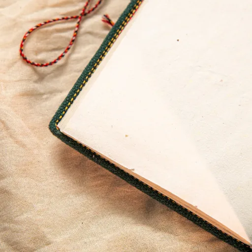 DSC_6631-scaled-1 (4)